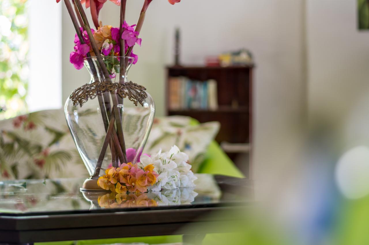 Kayak Lodge Damas Zewnętrze zdjęcie